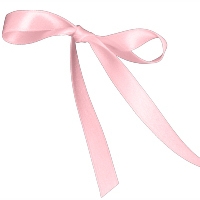 Berwick Offray 76105 6 in. Iridescent Bow - Pink