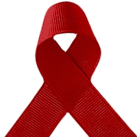 1/4 Grosgrain Ribbon by Tempo in Red by Celebrate It